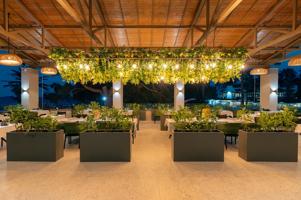 Pırate's Beach Club